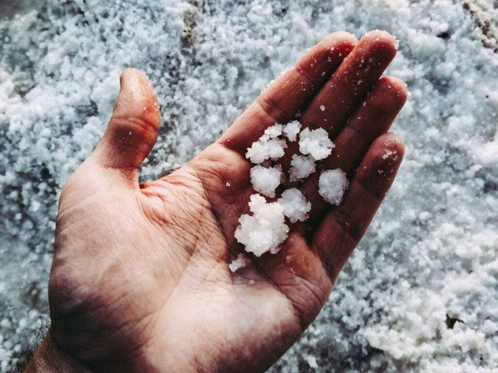 snow in hand