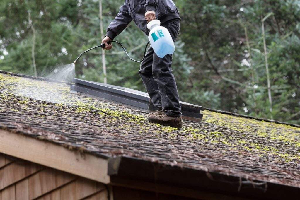 remove moss roof shingles